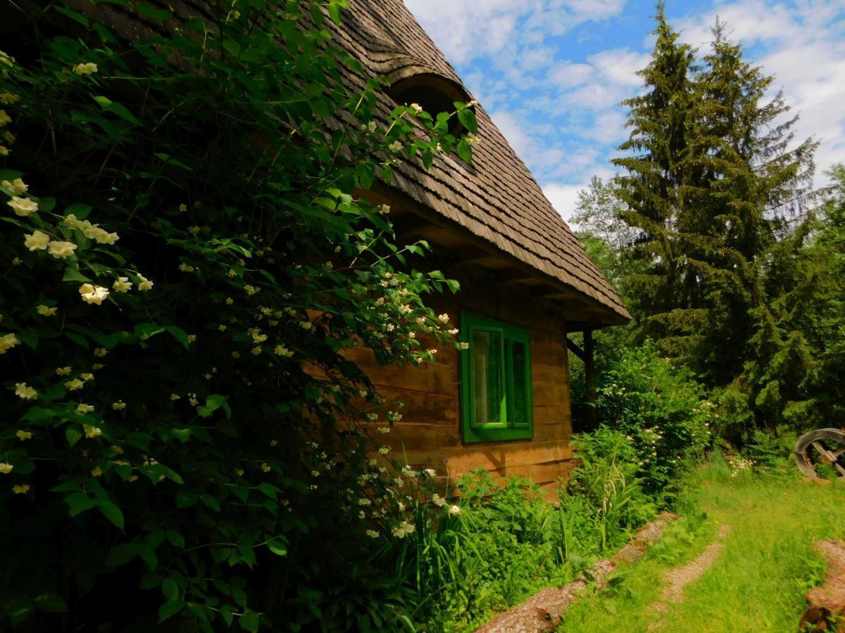 Maramuresul Stravechi Budesti  Exterior photo