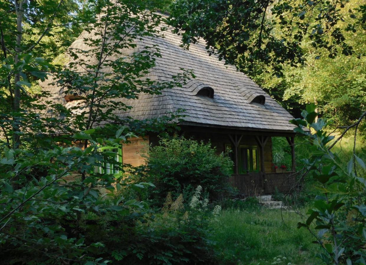 Maramuresul Stravechi Budesti  Exterior photo