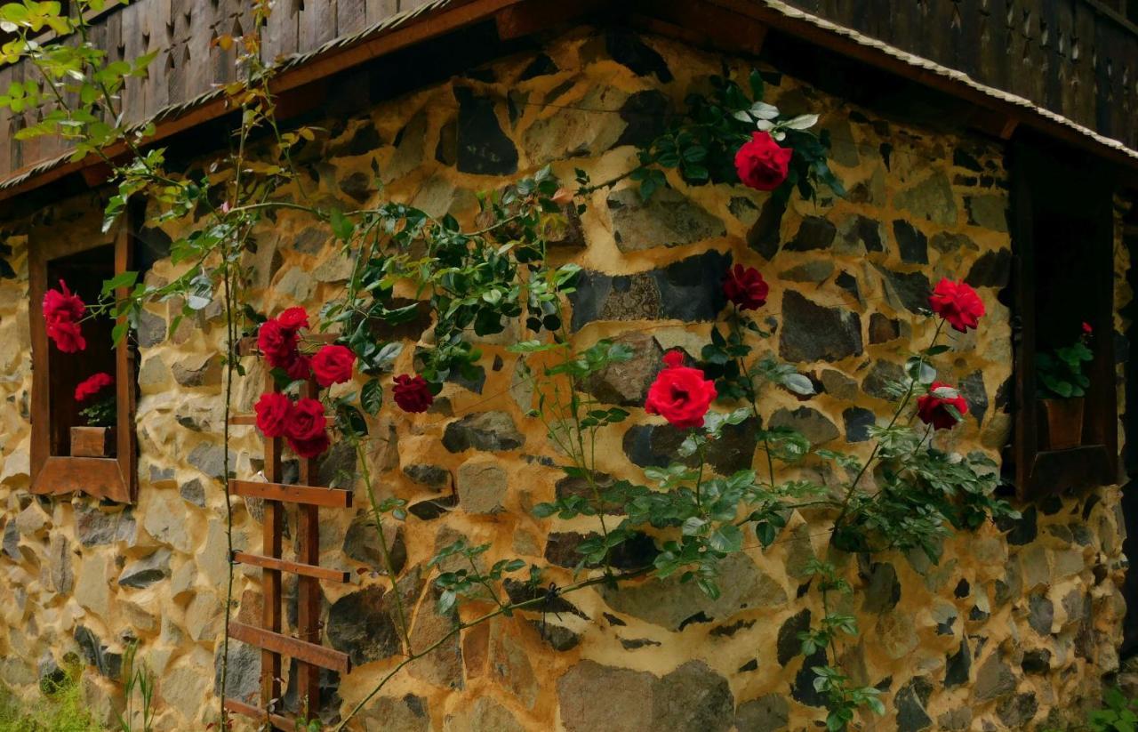 Maramuresul Stravechi Budesti  Exterior photo