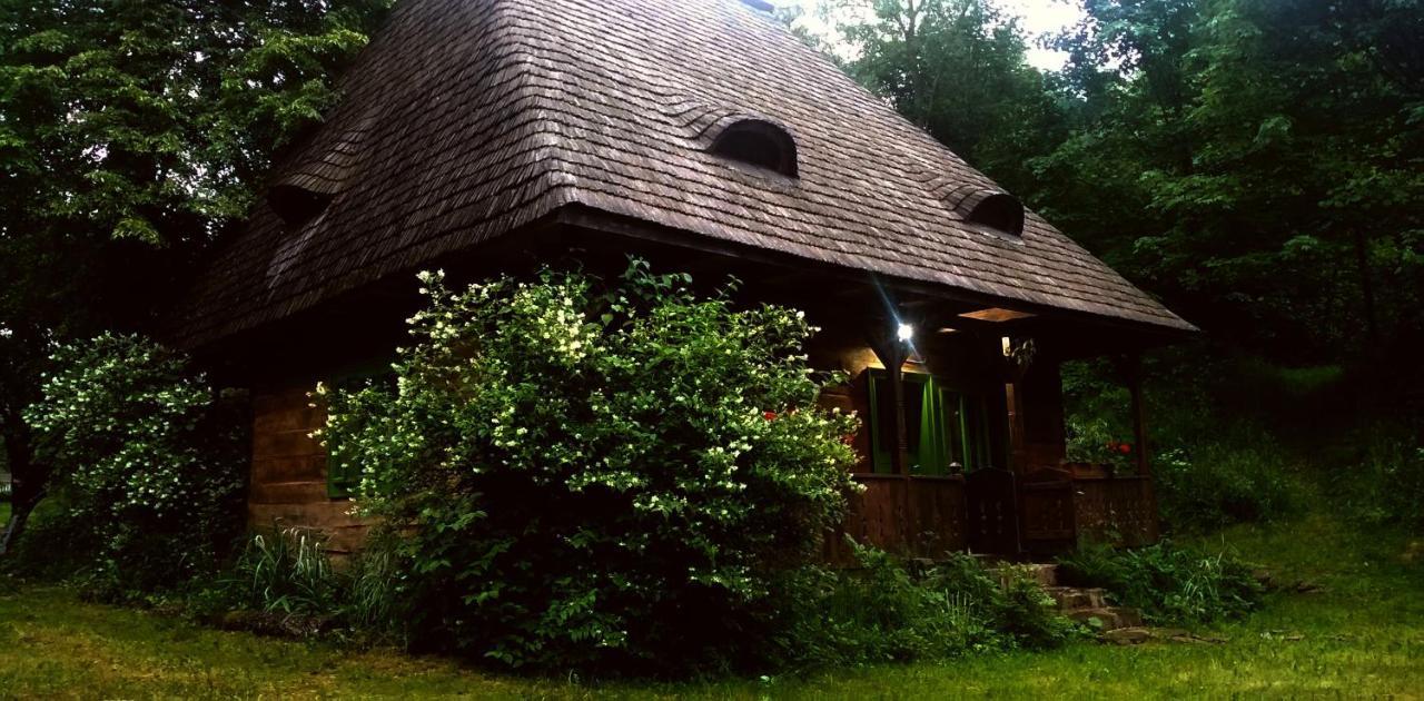 Maramuresul Stravechi Budesti  Exterior photo