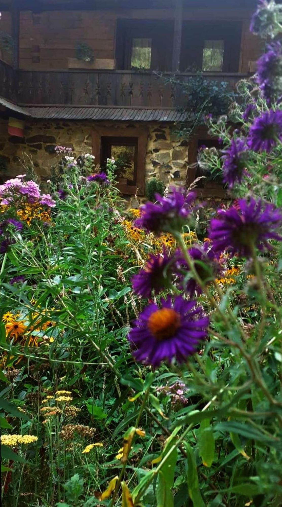 Maramuresul Stravechi Budesti  Exterior photo