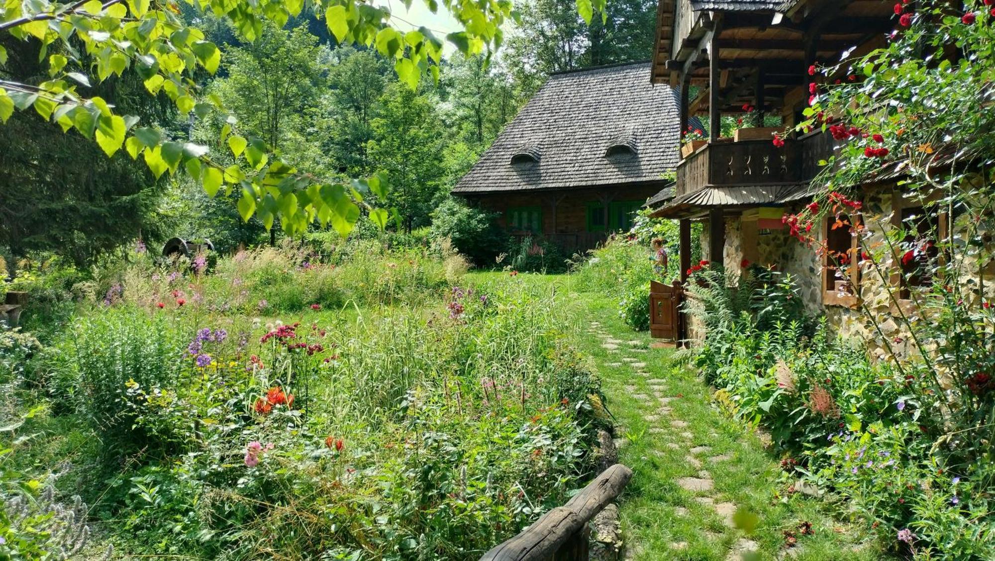 Maramuresul Stravechi Budesti  Exterior photo